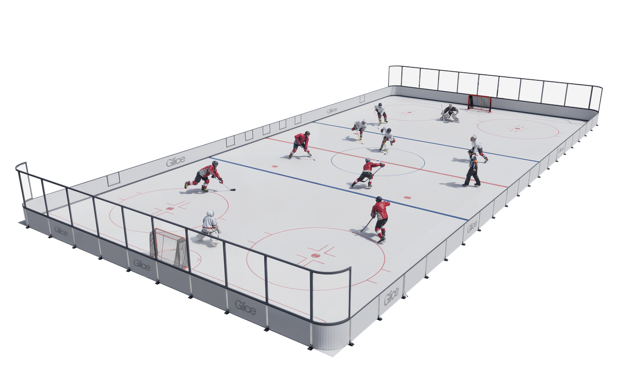 Pro Rink