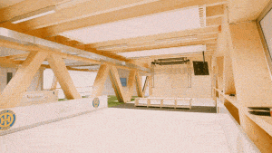 Davos GIF 300x169