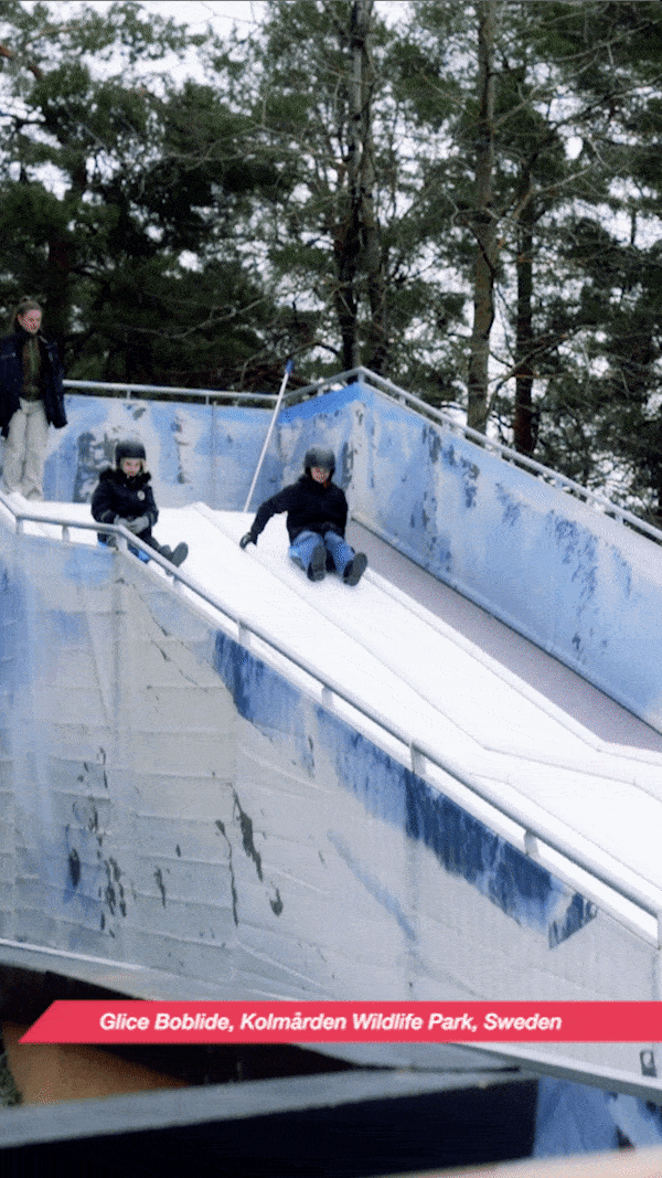 Two young boys bob sledding