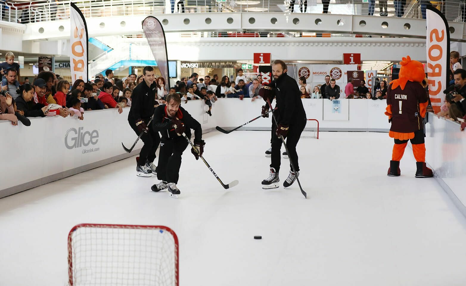 Ice hockey match on synthetic ice