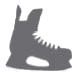 Icon of ice skate